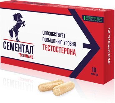 Сементал Тестомакс